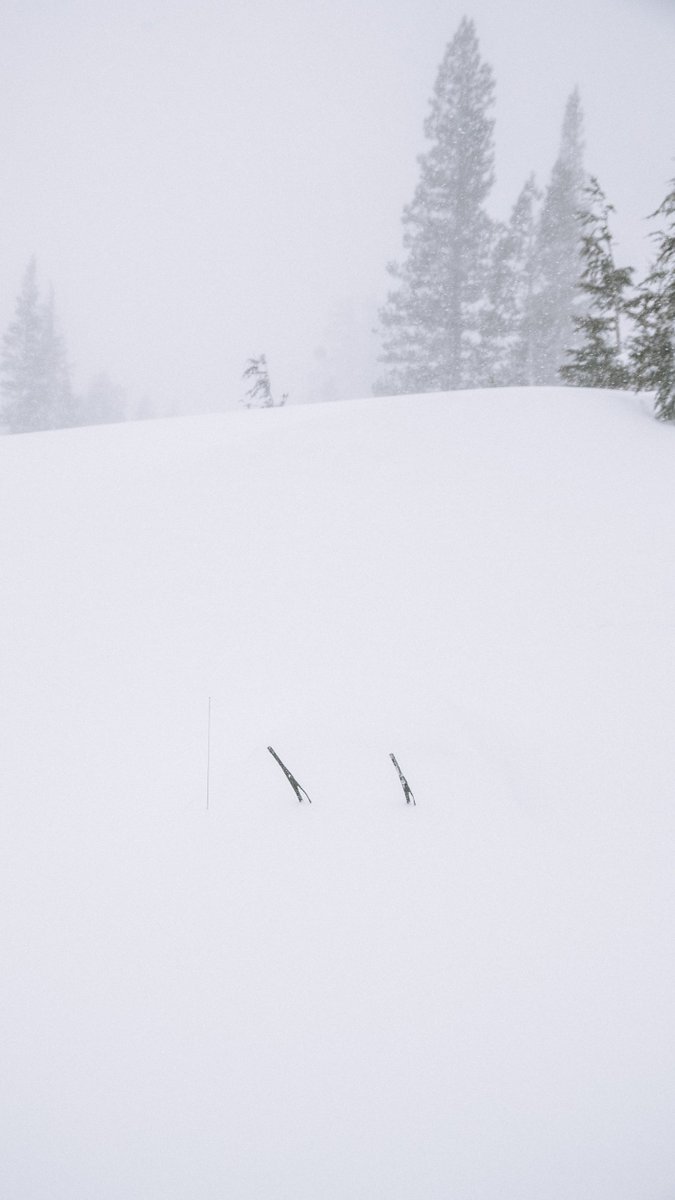 Here's to hoping this isn't your car. 

Storm total: 89-132"