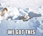 The Kenyon Public Library is open from 10-4:30 today for those who need internet access for DLD assignments.  They also have a great selection of books! @JeffPesta  #snowday #whatmakeskwgreat