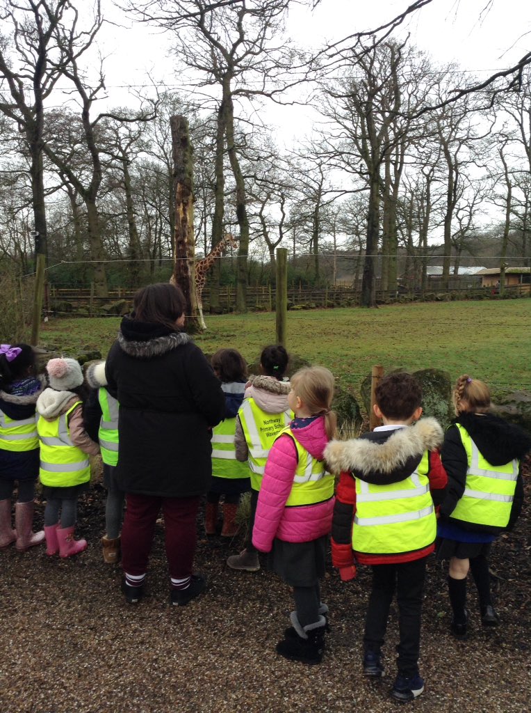 Y2_Northway's tweet photo. Year 2 had a beautiful day at @KnowsleySafari park! 🐅🐊🐢🐌🦁🐯 Thanks so much to the amazing staff who helped organise a fantastic day! We loved it! 👍🏽 @NorthwayPrimary #schooltrip https://t.co/lCD0KhAN1U