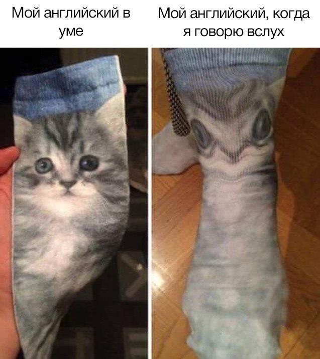 RussianMemesLtd's tweet photo. My English in my mind

My English when I speak it out loud https://t.co/GlmiVpmL6E