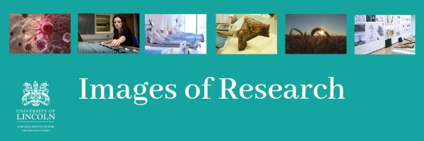 Lincoln_IAS's tweet photo. Interested in entering the 2019 Images of Research Competition for staff?
Visit https://t.co/7xSOl5eBgx… for more information and submit your entry. #LIAS #Images2019 #research @UoLScience @UniLincolnArts @UoL_CSS @UoLBusiness https://t.co/ZtcsRKoITV