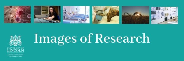 Lincoln_IAS's tweet photo. Enter our 2019 Images of Research Competition for staff today.
Visit https://t.co/7xSOl5eBgx… for more information and submit your entry. #LIAS #Images2019 #research @UoLScience @UniLincolnArts @UoL_CSS @UoLBusiness https://t.co/aLRsHw86iO
