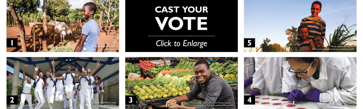 Agrilinks's tweet photo. The finalists are in! Vote for your choice for the top #youth photo of the @Agrilinks Photo Contest. You can vote by replying with the corresponding number in the photo. https://t.co/UcIT2Y7g6J