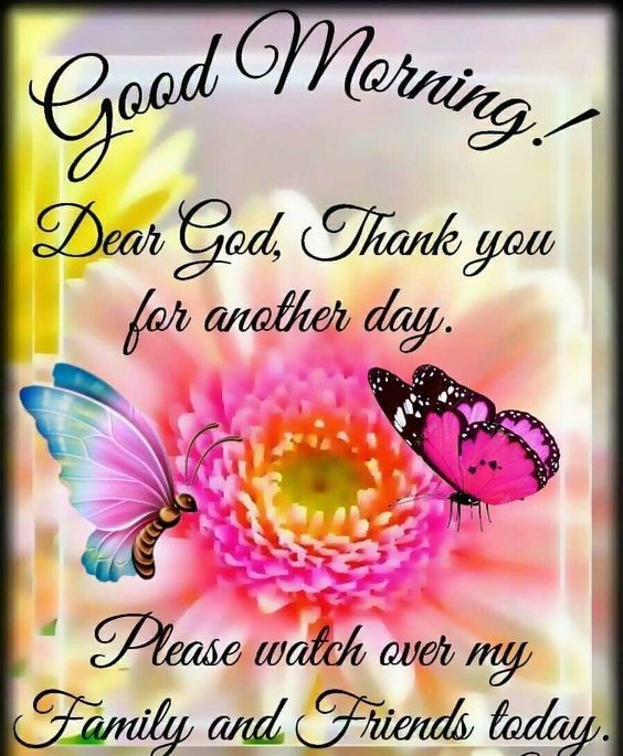 tristrash's tweet image. Good morning Every1
May our Lord grant us an abundance of peace, luv &amp;amp; happiness! 
Stay safe as you R out &amp;amp; about! 
May you &amp;amp; your family have a day filled with may blessings! 
#PRAY4LEOS #FFS #FRS #EMTS  #DISPATCHERS #MILITARY #VETS
#RESPECTAUTHORITY #BLUEFAMILY
#BlueFamilyPrays