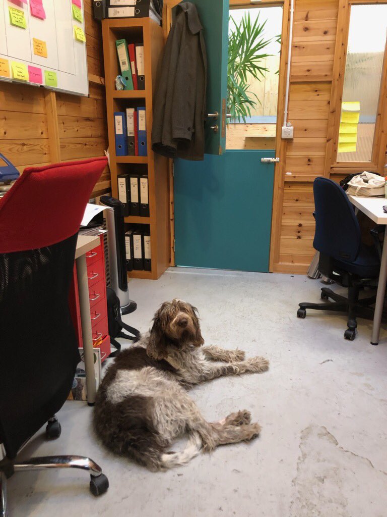 Pacificstream ES tweet media