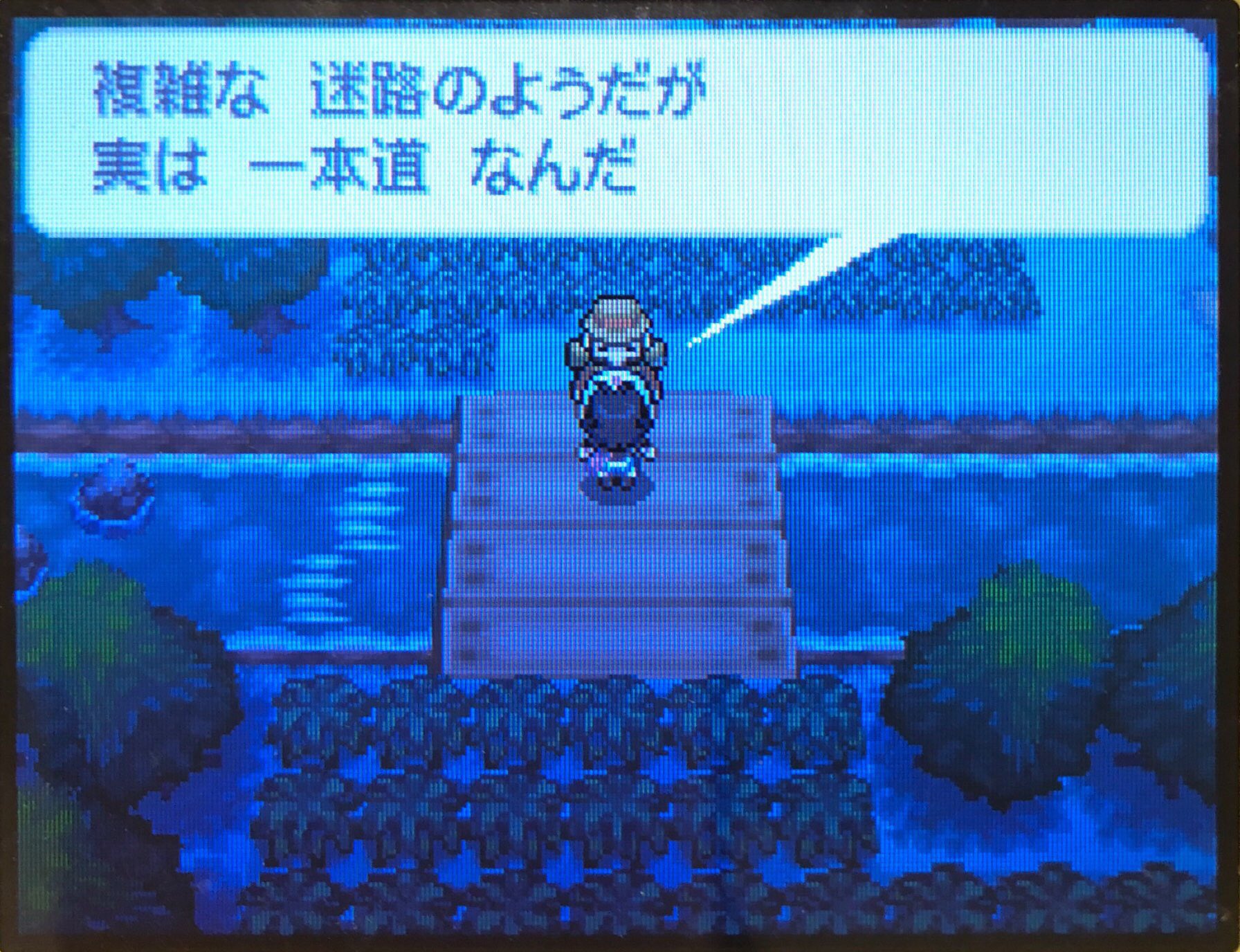 23 電気石の洞穴へ ピクミン マリオ ドラクエ Ff ポケモン日記