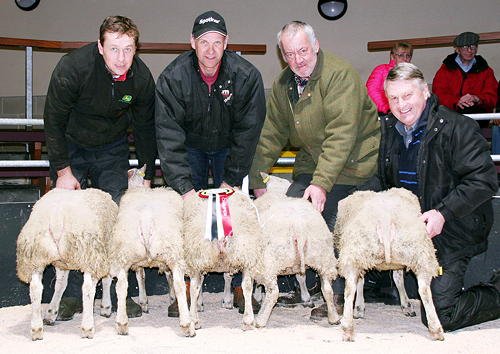 Stackyard tweet media