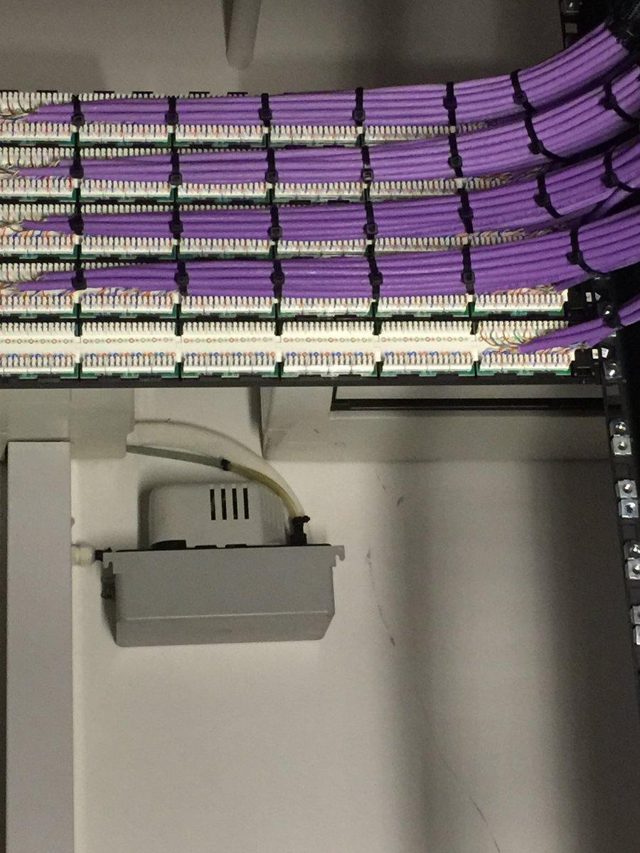 CJD_Electrical's tweet photo. #cat6 #officefitout #data #catb install by @CJD_Electrical https://t.co/muTQbzYeKy https://t.co/yVjatqxOZr