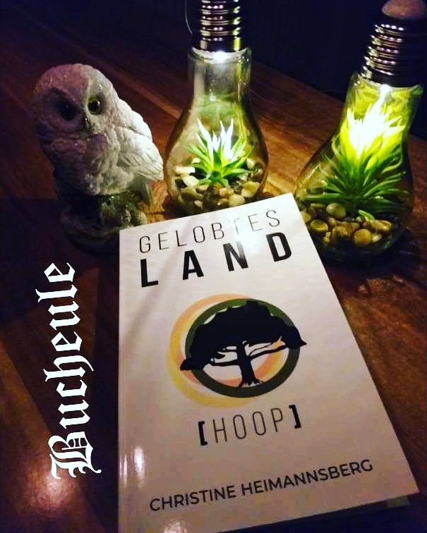 BlogderB's tweet image. Neue #rezension online. Mehr erfahrt ihr wie immer auf unserer #fb und #instagram Seite. 
#hoop 
#gelobtesland 
#christineheimannsberg 
#rezensionsexemplar 
#buchblog
