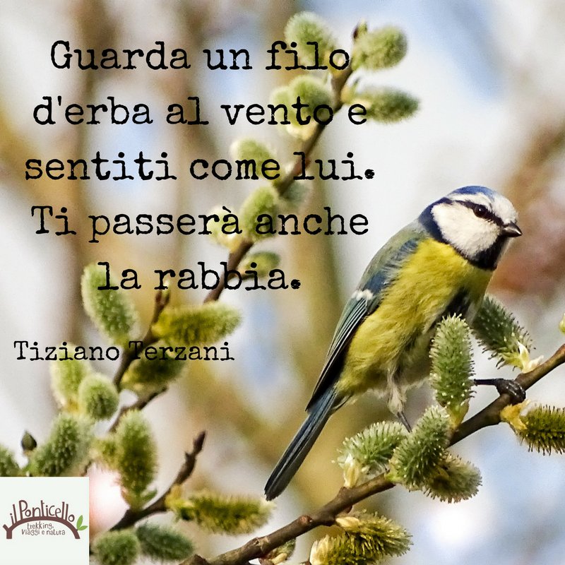 Il Ponticello Trek tweet media