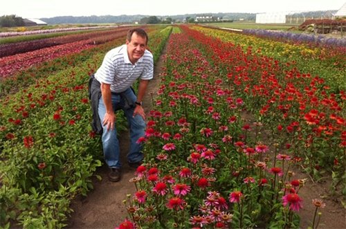 Darwin is 10 years old! Can you believe it? Read more about the start of our #perennials company here: darwinperennials.com/Blog/2019/02/0…