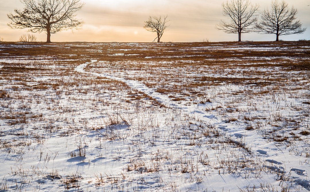 DarlienMorales's tweet photo. If you are to look back, it should be to realize how you too can create a path for others to follow.
#path #follow #supportothers #helpothers #createapath #winter #trees #virginia #shenandoah #photography #landscapephotography #sunset #naturelove https://t.co/8gtXEI4R1g