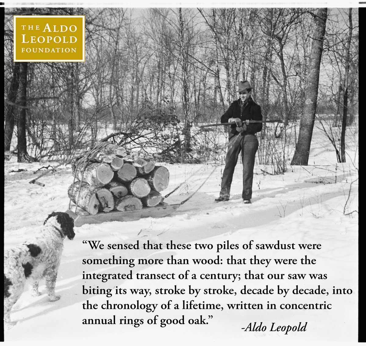 AldoLeopoldFdn's tweet photo. In this month some 70 years ago Leopold sat by the fire pondering the life of the wood he was burning to keep warm. While the February blizzard tossed the trees outside, he reflected back on splitting &amp; hauling that wood, and the story of the good oak was born. #WednesdayWisdom https://t.co/hfi1igtBx8