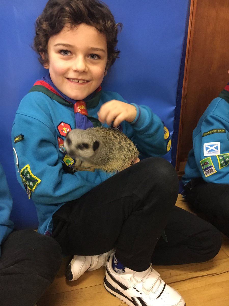 3rdBonessScouts's tweet photo. What a special experience at beavers tonight! The children were all very brave and held a range of animals, well done everyone!👏🌟 https://t.co/uJWgjlp0Ek