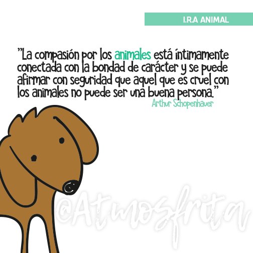 IRAorg's tweet image. "La compasión por los animales está íntimamente conectada con la bondad de carácter y se puede afirmar con seguridad que aquel que es cruel con los animales no puede ser una buena persona." 
 Arthur Schopenhauer #IRAANIMAL