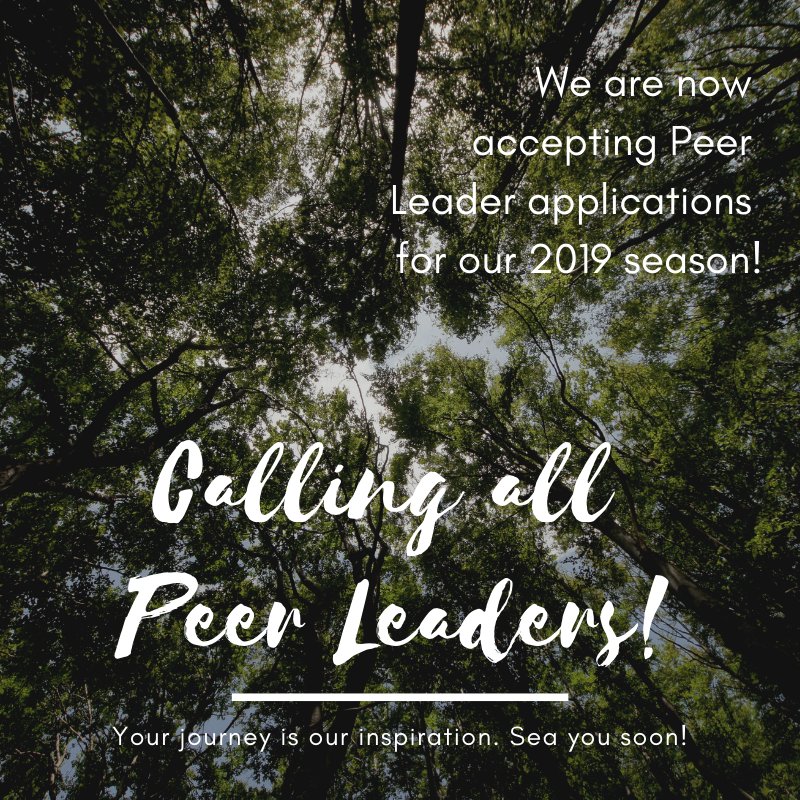 CTSProgram's tweet image. Shout out to Peer Leaders! Applications to be a Peer Leader for our 2019 season are open! Follow link to apply: catchingthespirit.com/sites/default/…