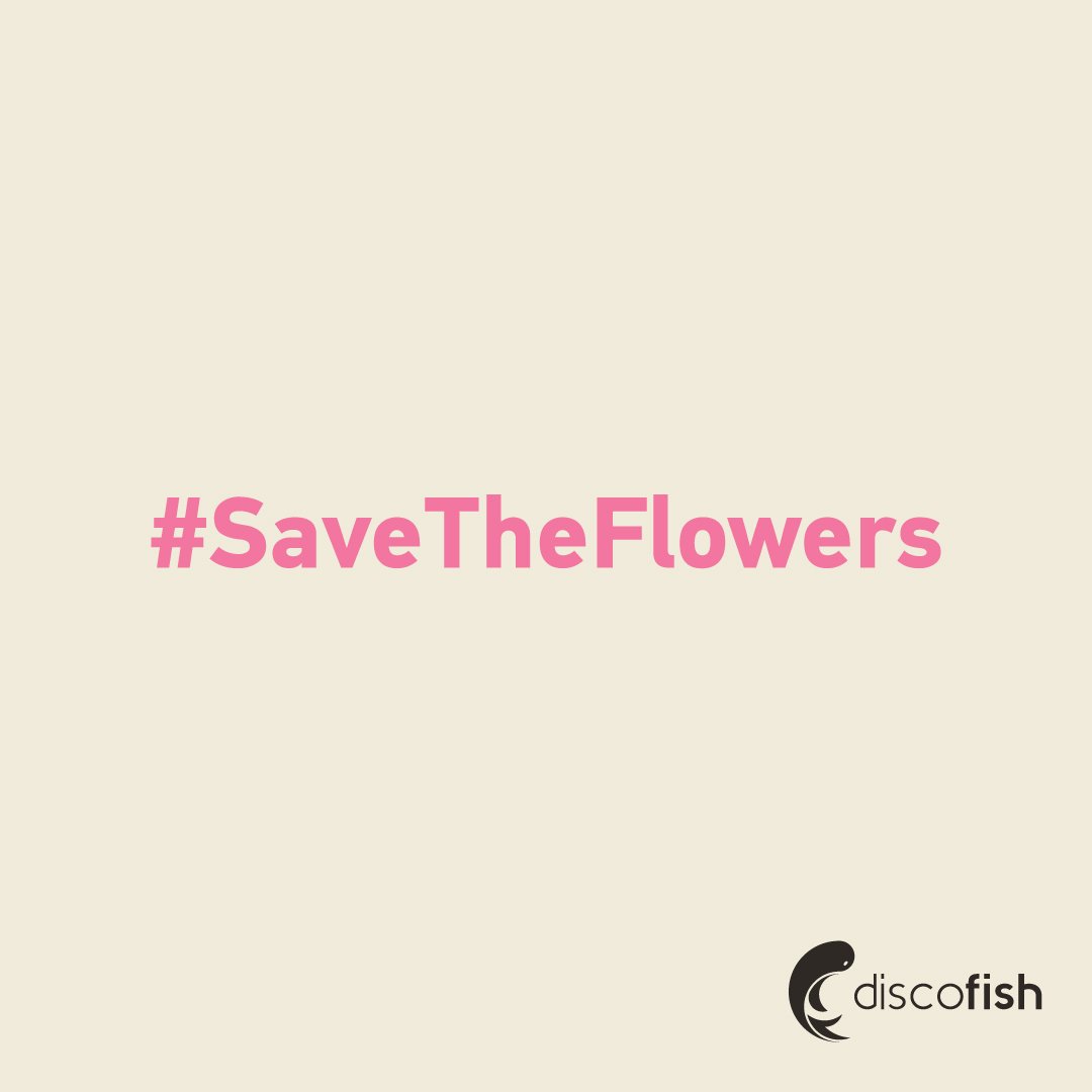 discofishdesign's tweet photo. Its only a week away. #SaveTheFlowers #FlowersMatter #WiltNotWantNot https://t.co/seW00RZQP0