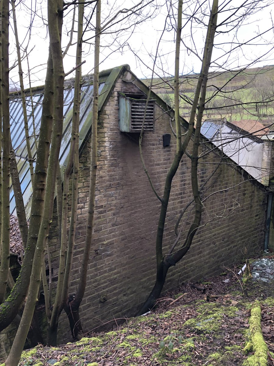 WhitcherWild's tweet image. Bat boxes put up ready for works under Natural England’s Bat Mitigation Class Licence (BMCL). #bmcl #bat #bats #mitigation #batbox #licence
