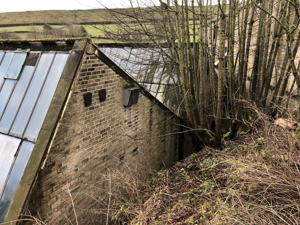WhitcherWild's tweet image. Bat boxes put up ready for works under Natural England’s Bat Mitigation Class Licence (BMCL). #bmcl #bat #bats #mitigation #batbox #licence