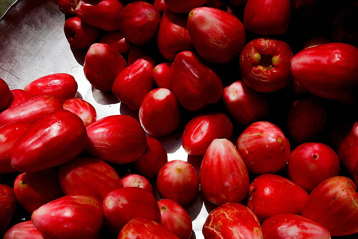 Enamórate del Chocó tweet media