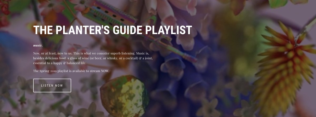 plantersguide's tweet photo. Our Spring 2019 #PlantersPlaylist is live on @Spotify featuring @tanikacharles7 @pandabear @vincestaples @SPRORGNSM @AndersonPaak @RuPaul @sza + more!
https://t.co/hMAlvPH96K
#ThePlantersGuide https://t.co/66RipeNlFA