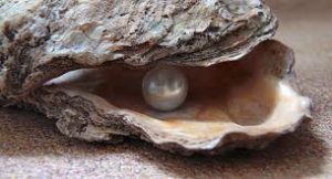 bluemur's tweet photo. Dive Deep and Discover The Treasures of The Pearl https://t.co/qFWnyteKq6 https://t.co/5aozvO4M6w