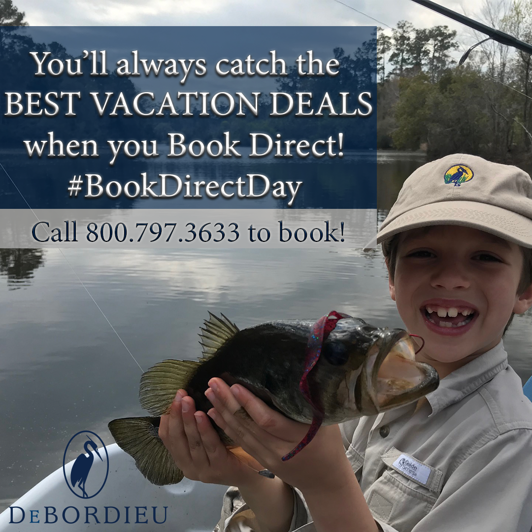 DebRentals's tweet photo. February 6th is #BookDirectDay! Learn why booking direct always leads to the best vacation deals: https://t.co/TOMlq1bvYr 
#bookdirect #debordieurentals #vacationrentals #vacation https://t.co/PGOa9gkAQK