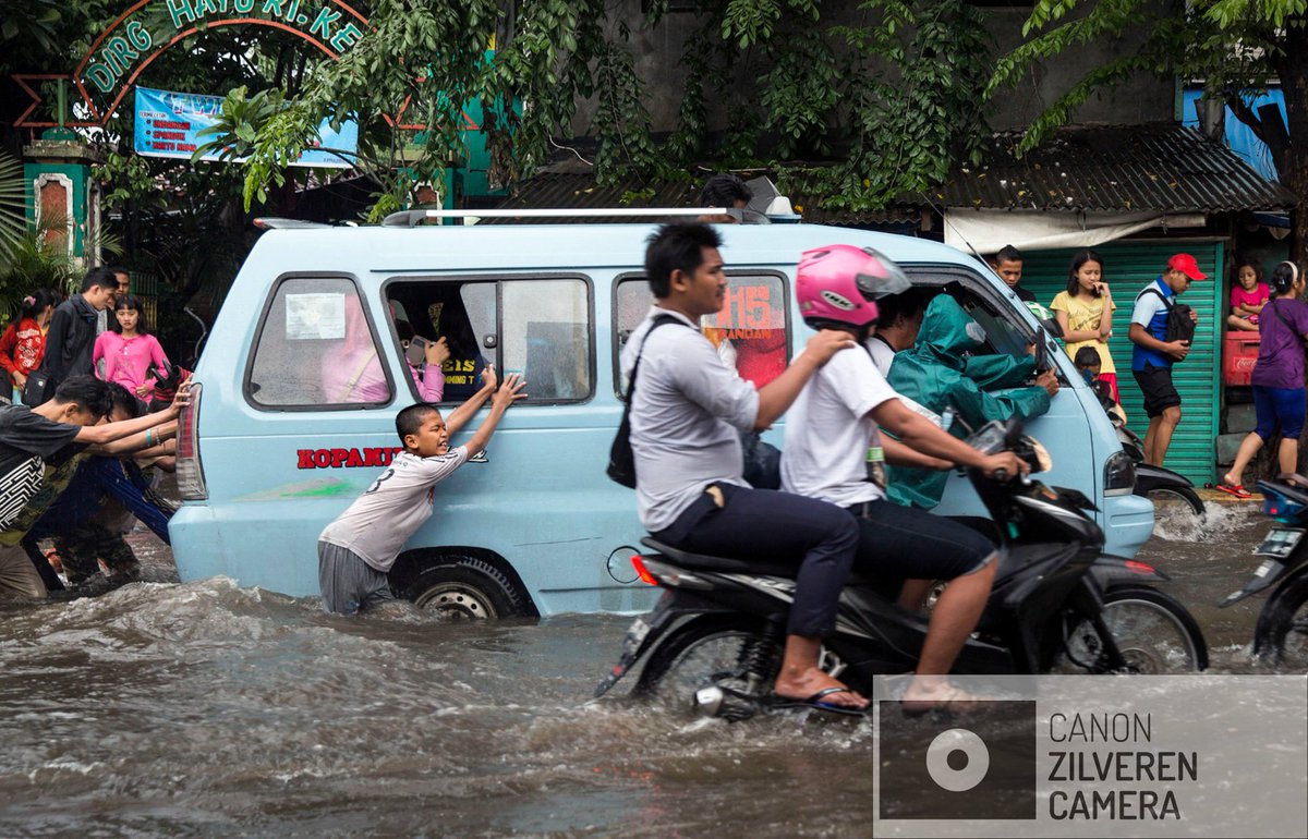 Finch Floating Homes tweet media