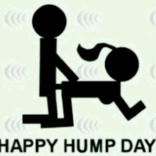 Sexual hump day pictures