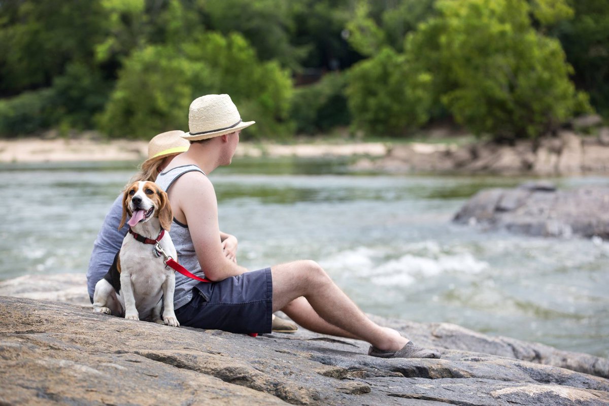 VisitColumbusGA's tweet photo. Who says *watching* the rapids isn't an outdoor activity?! Not us. It's people watching at its best! #VisitColumbusGA https://t.co/6GW9pJQCBf