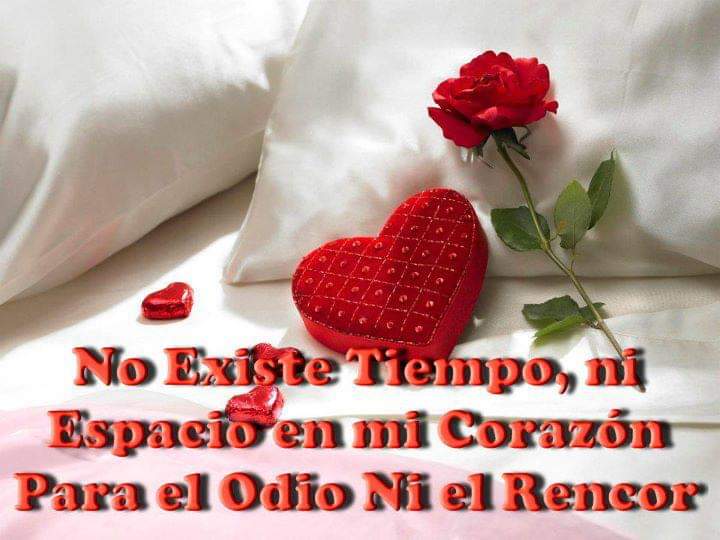 Patrici58275001's tweet photo. ** No existe el #odiooo ... **
🐼🎸🐼🎸🐼🎸🐼🎸🐼🎸🐼🎸
🚲🚲🚲🚲🚲🚲🚲🚲🚲🚲🚲🚲 https://t.co/6daSJUZnm2