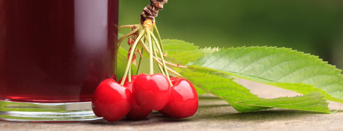 #TartCherryConcentrate is rich in flavor, nutrients and #HealthBenefits! It contains #Melatonin that can help #Sleep and also has many benefits for #Arthritis sufferers. Learn more about everything Tart Cherry concentrate can do for you from <a href="/GuideDoc/">GuideDoc</a>: buff.ly/2WEzDSJ