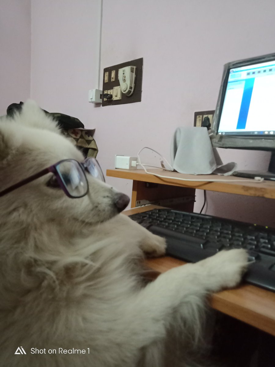 Arjun_rarjun's tweet photo. Look who is busy working late night 
#Pomeranian #dogsoftwitter #puppylove @dog_rates @dog_feelings #doggie #DogLover #doglovers #Office #OfficeHours #workinghome #busyjob #workstress #DogsAreBetterThanPeople #dogworkingmood @anandmahindra @aliaa08 @vickykaushal09 @narendramodi https://t.co/nju2zOOC12