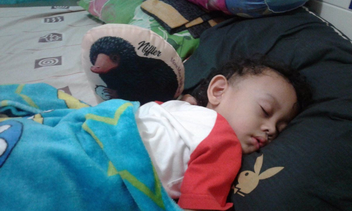 dunyahirata's tweet photo. @IndoHarryPotter Nifler menemani tidurmu sayang @NewtScamanderRP https://t.co/Mlf6m3SVTK