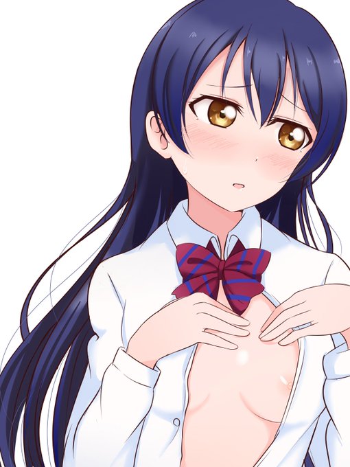 海未ちゃんにおっぱい見せてもらった 