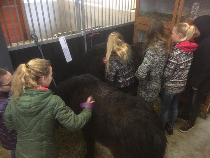 Vandaag waren de leerlingen van de Sint Jozefschool aanwezig voor een paar proeflessen. Natuurlijk hoort een bezoekje aan de dieren van het Wellant daar ook bij!