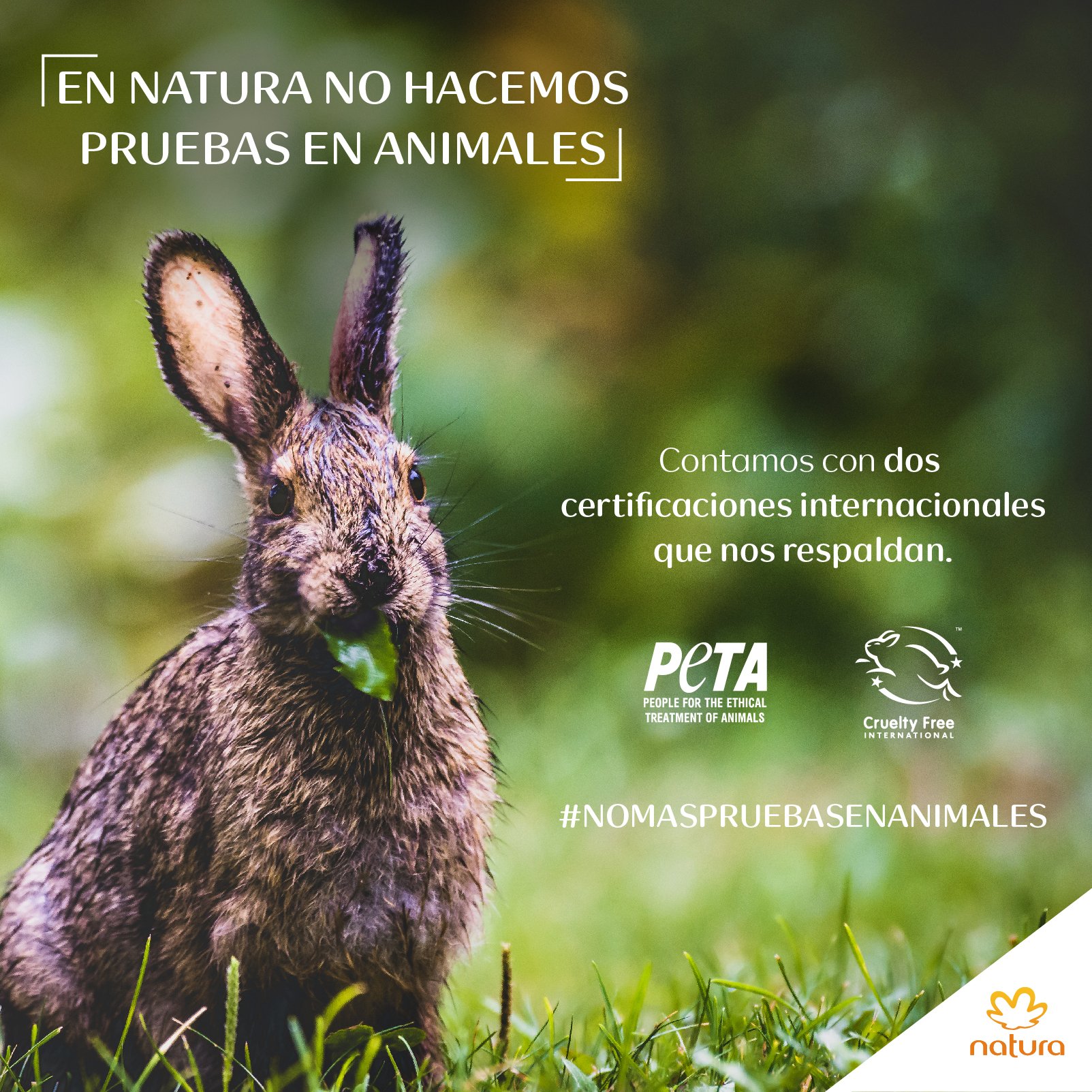Natura Peru on Twitter: 