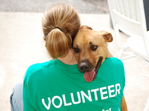 It's the most rewarding thing we do... Being a #volunteer at #bestpalsarc lets you give our animals the love they need while they wait for a #foreverhome. Come out to our center Saturday, 2/9 at 1pm to talk about our opportunities!