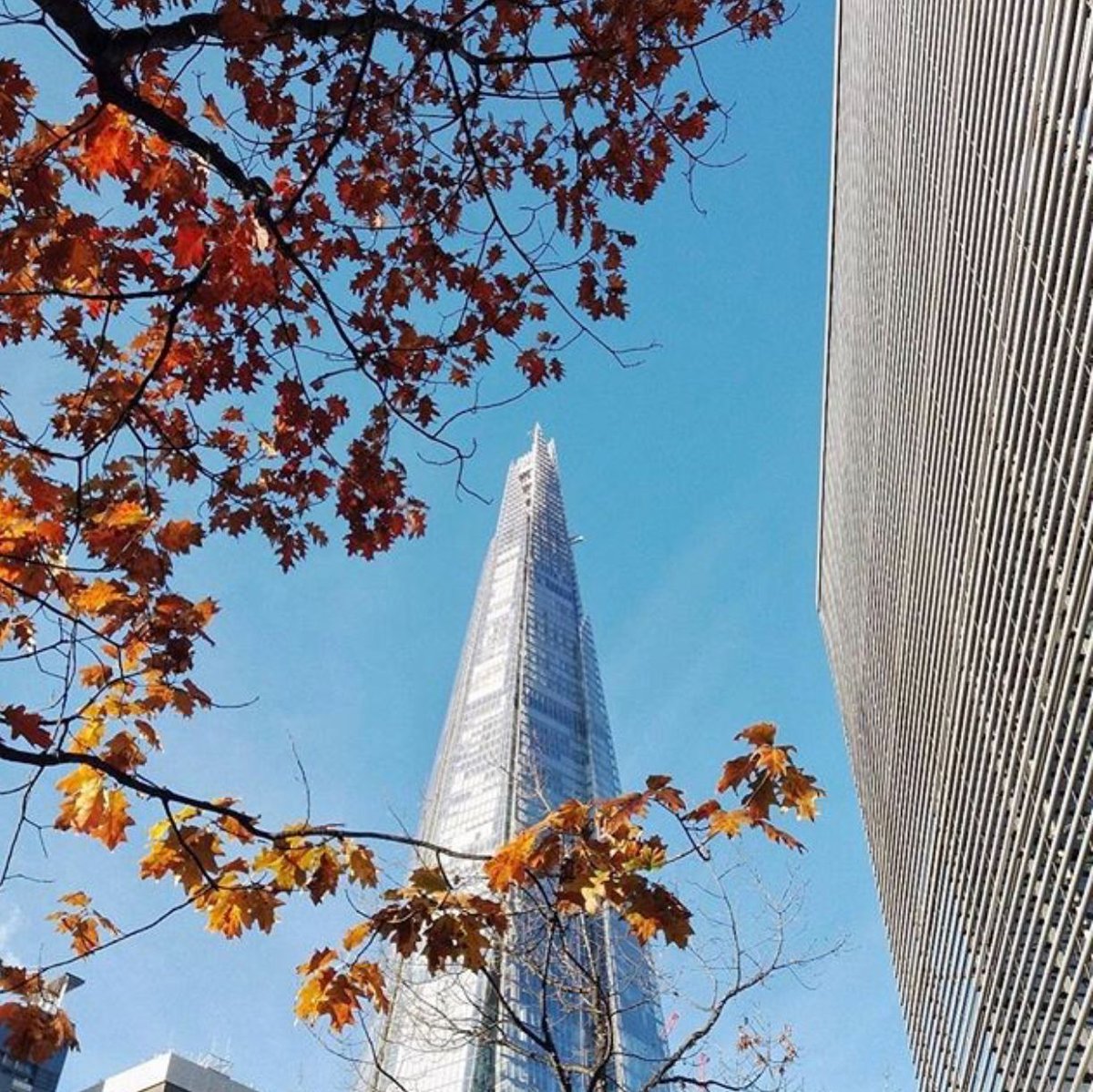 jam3sdonnelly's tweet photo. We are located just a few minutes from The Shard, so why not take a stroll around our beautiful city and then join us for a delicious meal π· @TheShardLondon #Donnellys https://t.co/0CdLXAjGN5