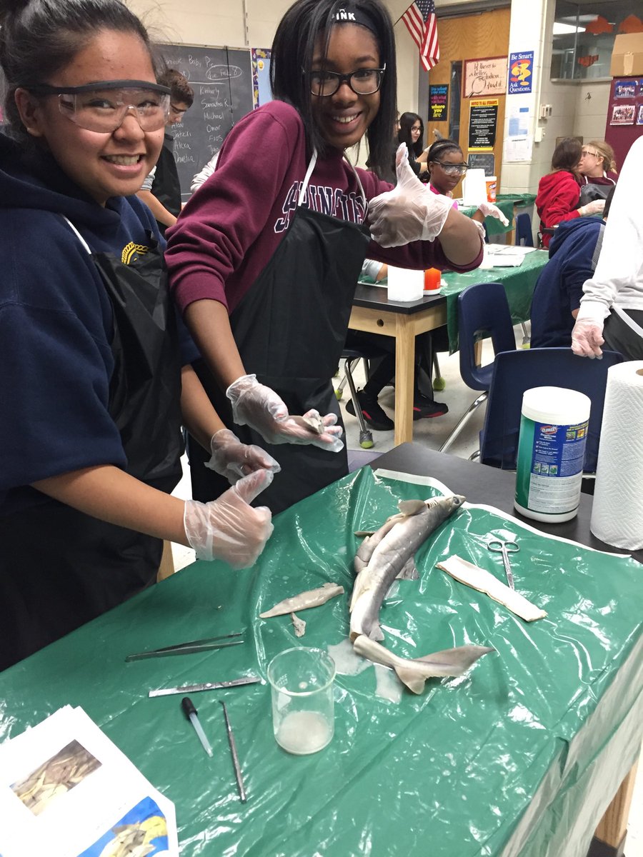 jenkahn56's tweet photo. Shark dissection! #BabyShark #d56achieves #rtslearns https://t.co/ZirAJXmhDb