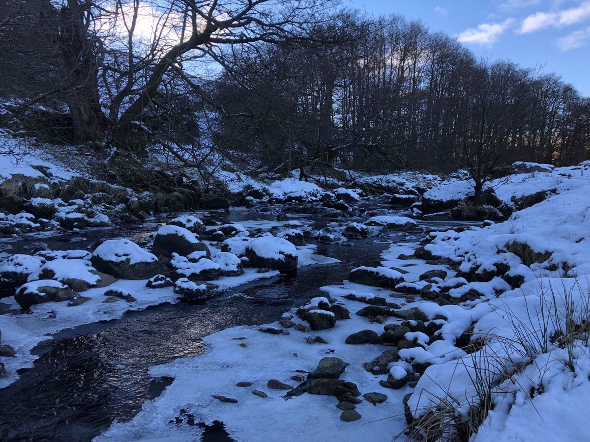 KevinCumming6's tweet photo. Beautiful Scotland. Black burn on Langholm Moor. #wildeskdale #VisitScotland #NaturePhotography #wildlifetours #wildlifeexperiences #landscapephotography https://t.co/ej7DSH9Kqu