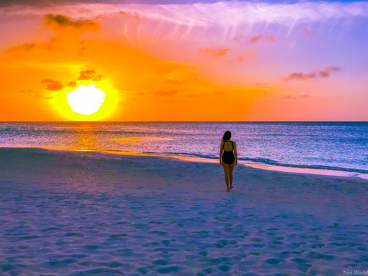 trotdotworld's tweet photo. #Postcardlike #Sunsets from #aruba #ShotoniPhone 7 Edited:LightroomCC @Apple @tim_cook @pschiller @PeteSouza @aruba #trotwithus #travelphotography #beachesoftheworld #colorfulsunsets #roamtheworld #bloggerstribe #travelbloggerlife #chasingsunsets #traveltribe #travelthursday https://t.co/Z5zHZpt5GX