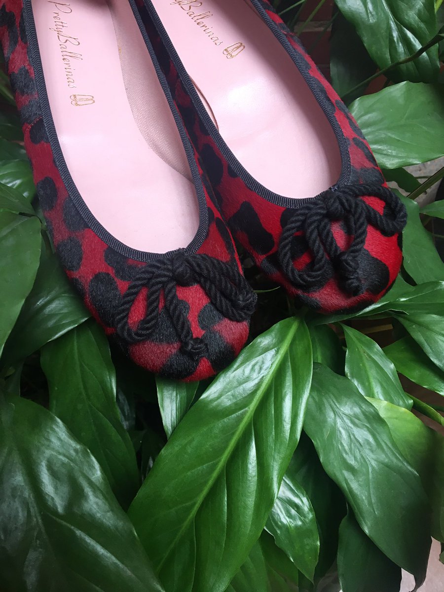 PrettyBogota's tweet photo. Animal print forever!! https://t.co/NPz82sLX1i