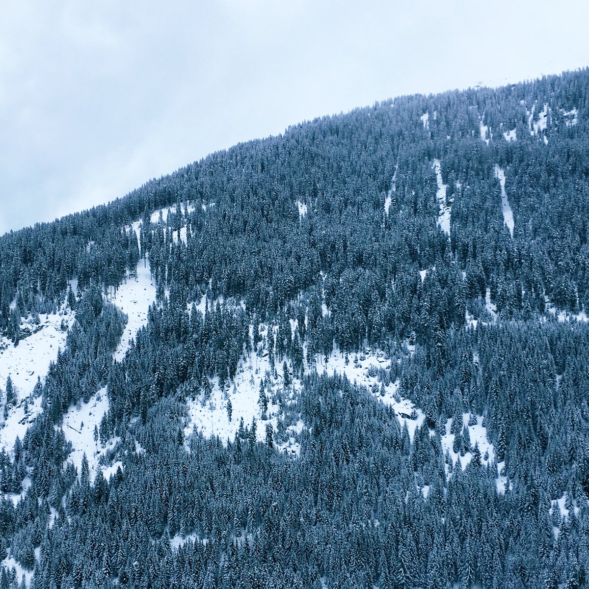 Big mountainous details. #godisinthedetails #devilisinthedetails #switzerland #vals