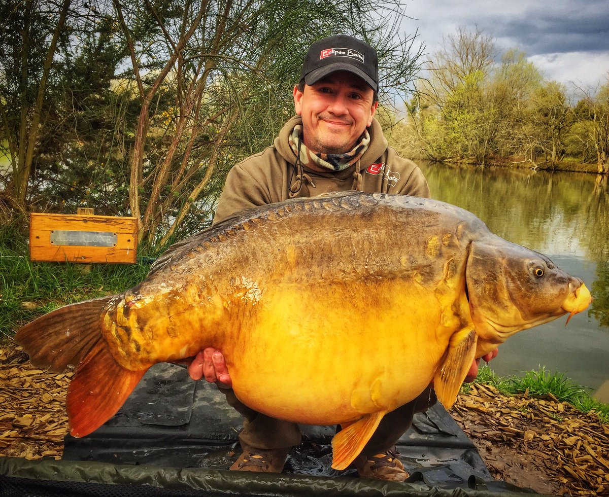 Can’t wait for the chance to lift lumps like this again. If my back is up to it. #carpfishing #thatscarpy #eclipsebaits