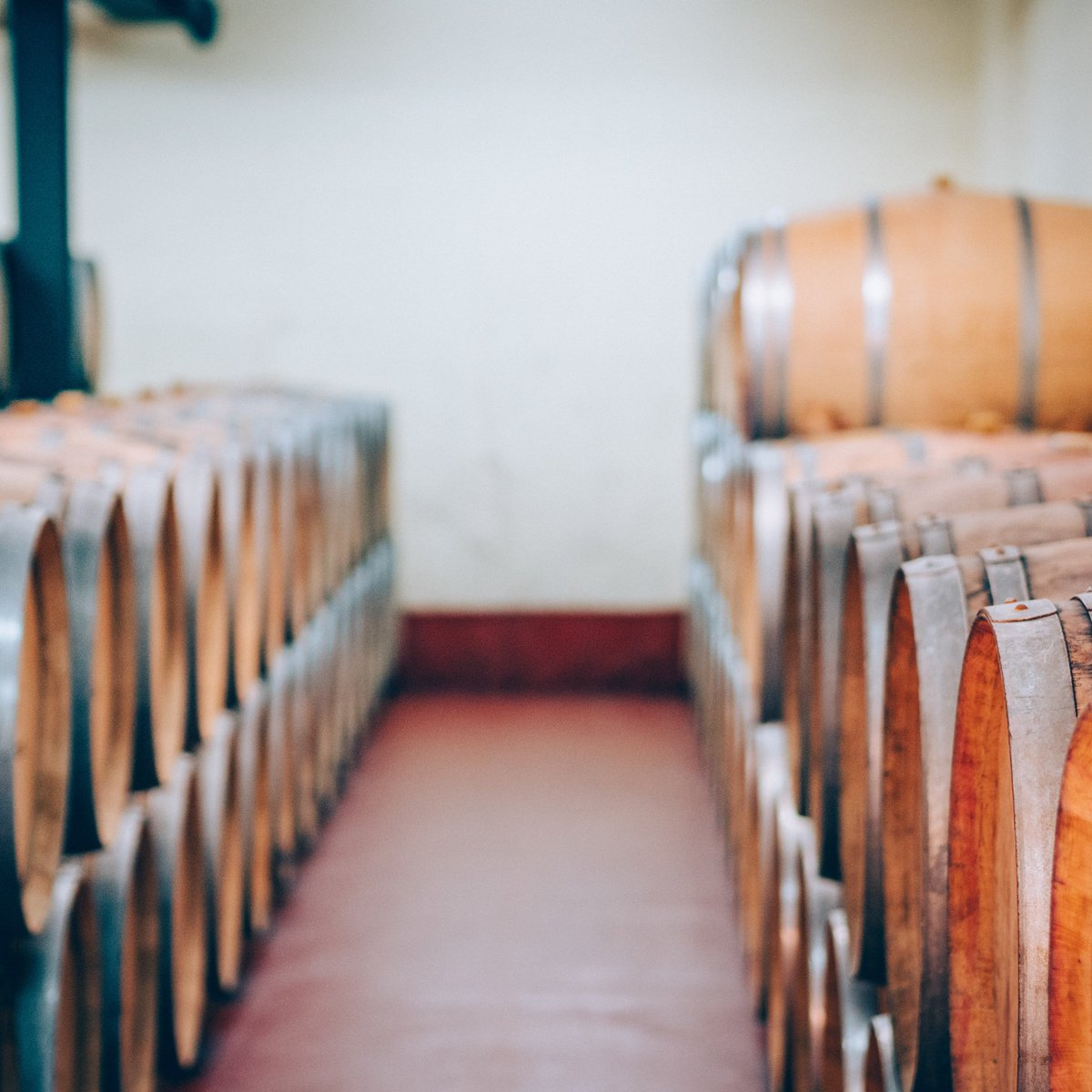 Pinea.Wine tweet media