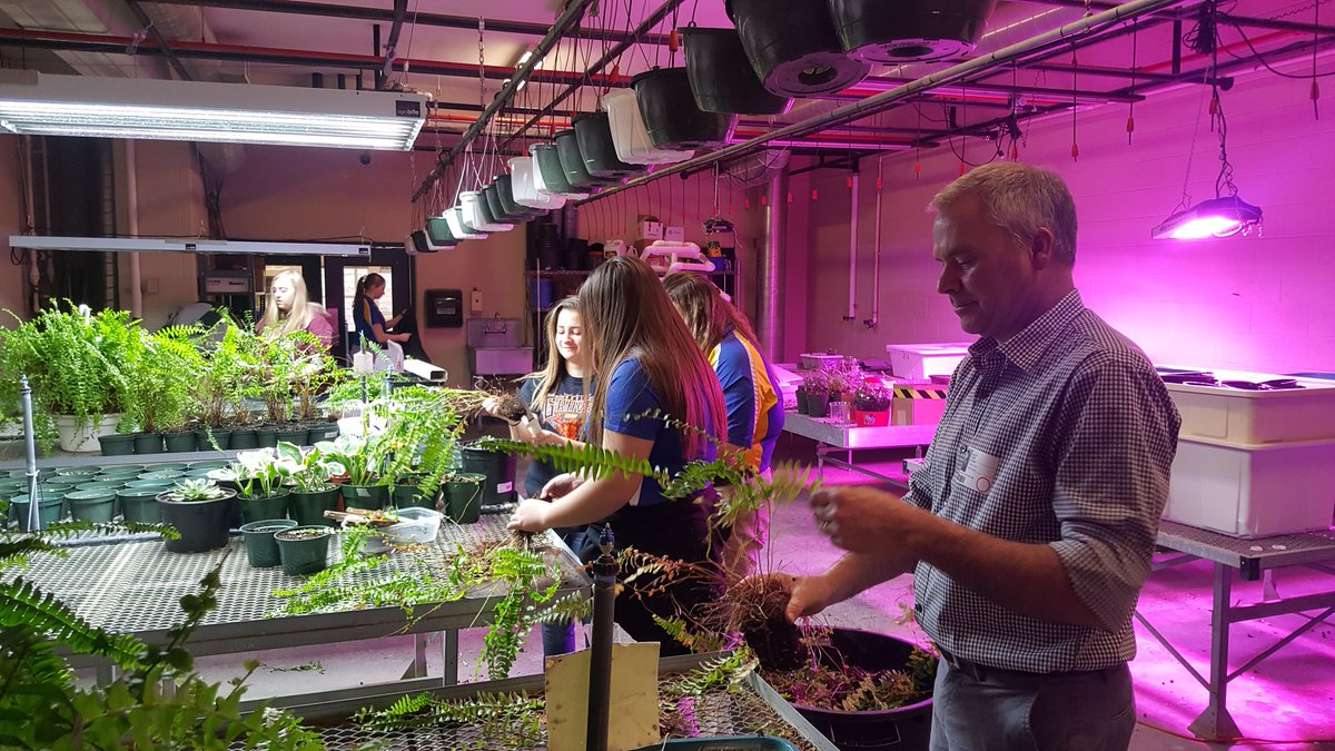 _J_Case's tweet photo. Plant science working with guest presenter, Scott Case, on division propagation methods for ferns. #plants #cvffa @CV_AgSciences https://t.co/7YiV0Fnbmw