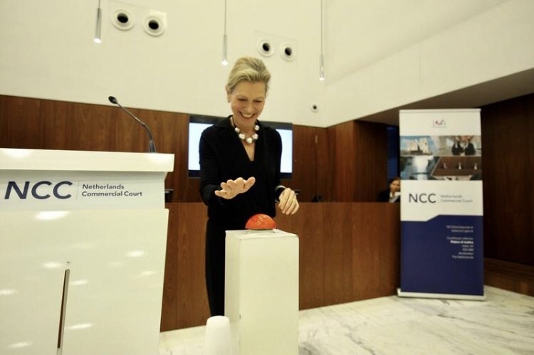 Net de Netherlands Commercial Court in Amsterdam officieel geopend! Voor internationale handelsgeschillen; procedure én vonnis bij rechtbank en Hof in het Engels <a href="/NethComCourt/">Netherlands Commercial Court (NCC)</a>