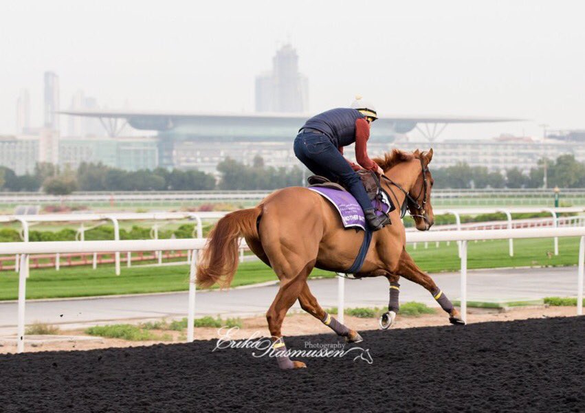 Another batt runs tomorrow @DubaiRacingTV @MeydanRacing in the 6f handicap with @Connorbeasley94 on board hopefully a drop back in trip and into handicap company again he can run a nice race for @ExcelRacing1 and @georgeoscott