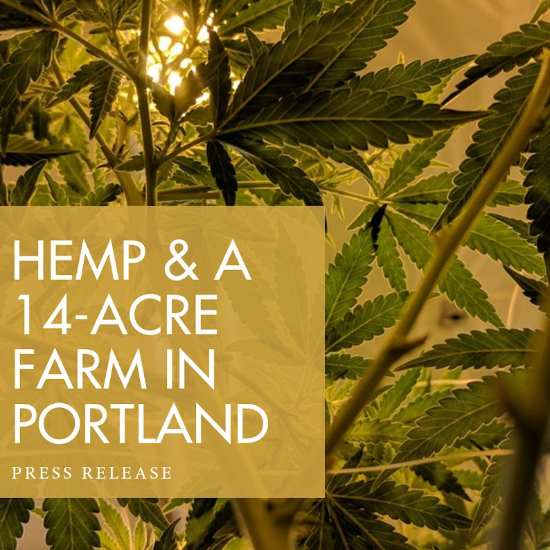 Read about how Stem Holdings has received approval to cultivate #hemp on a 14-acre farm outside of Portland, Or. #OR #OregonCannabis #cultivation #hempfarm #hempnews buff.ly/2Wmf3Xd
